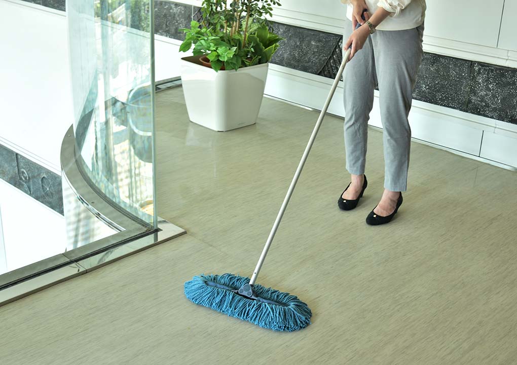 ブルーベリーエコ・スリム